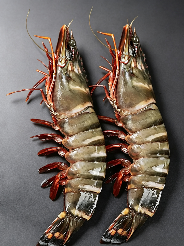 Frozen Giant Black Tiger Prawns