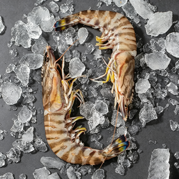Frozen Raw Tiger Prawns