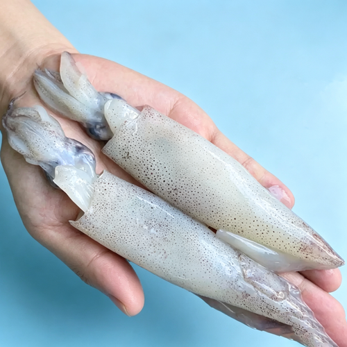 Frozen Whole Baby Squid